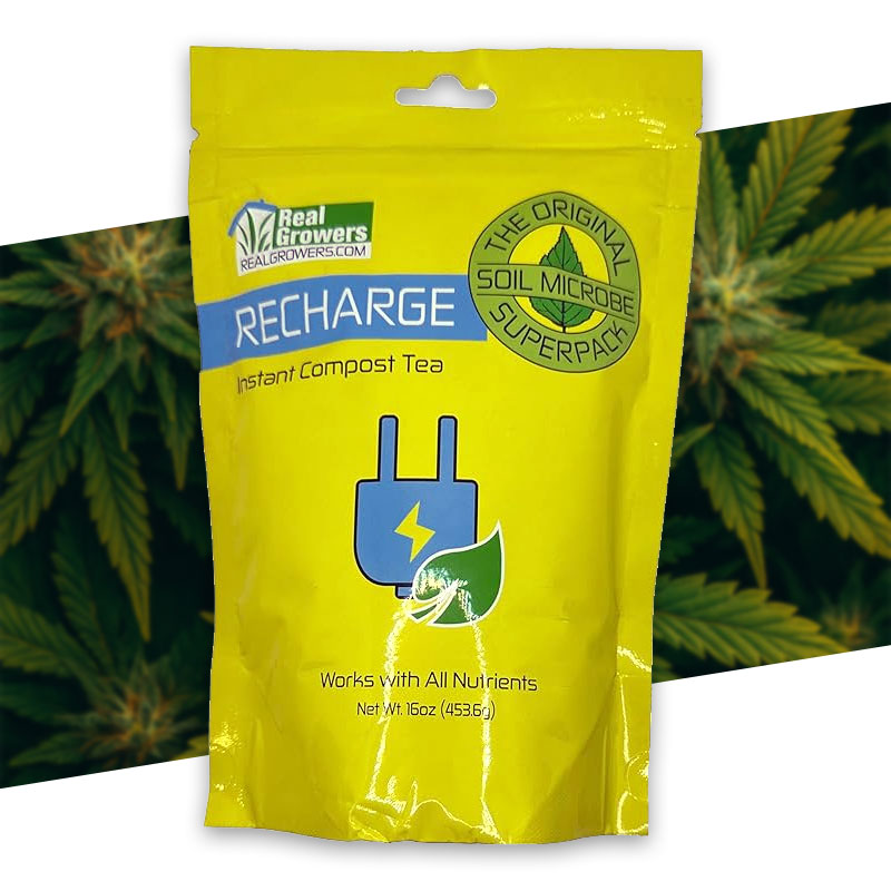 Real Growers Recharge soil microbes is like an instant compost tea